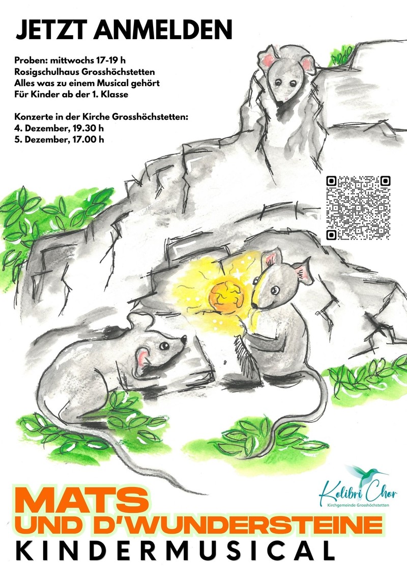 Mats und d'Wundersteine Plakat