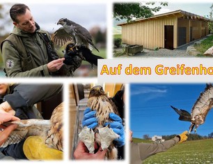 Programm angebote 60 plus 2026_Seite_19
